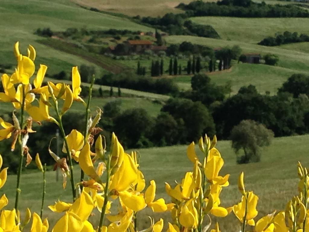 Agriturismo Santa Maria Pienza Exteriér fotografie